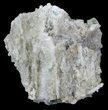 Sea Green Fluorite on Bed Of Quartz - China #32489-2